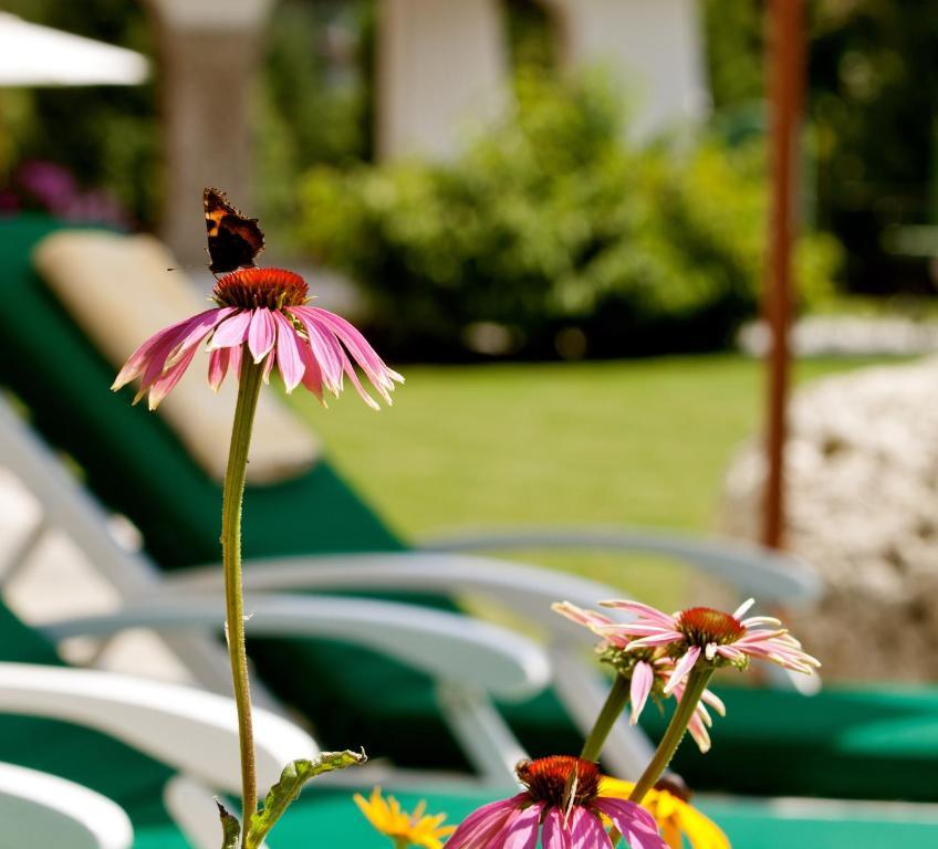 Hotel Laerchenhof 4*
